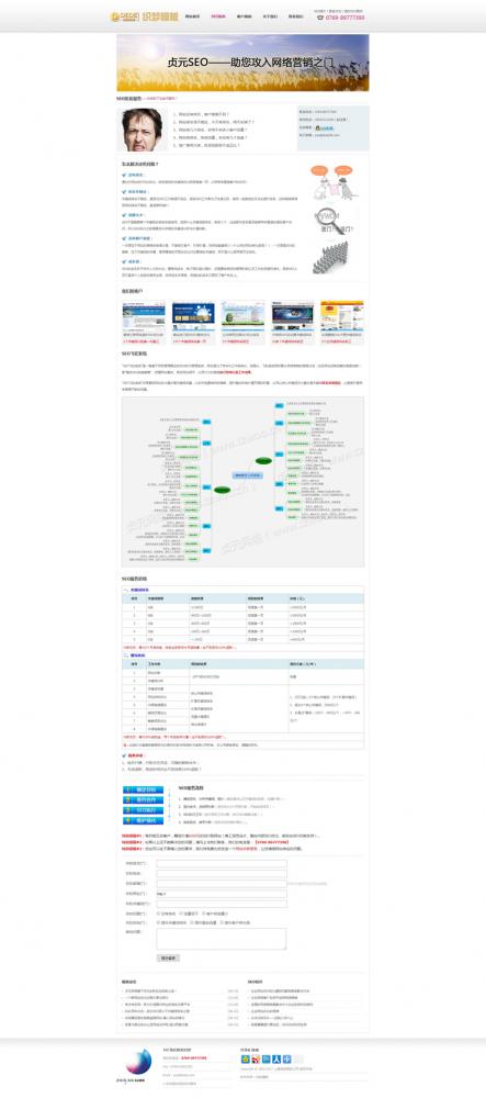 SEO服务公司网站织梦模板