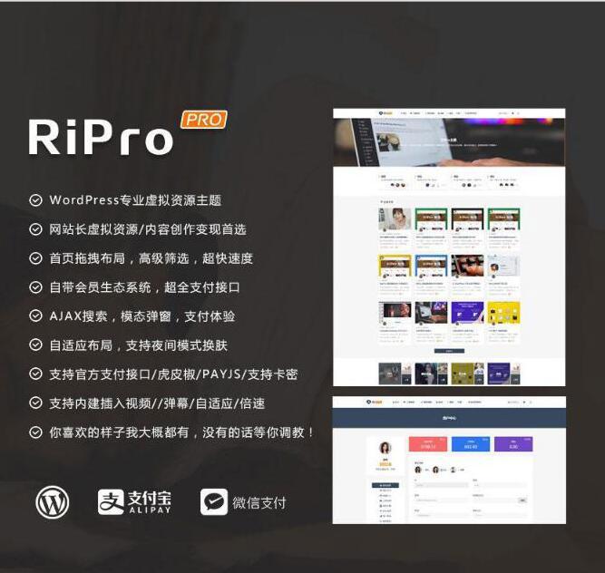 WordPress+RiPro主题破解版