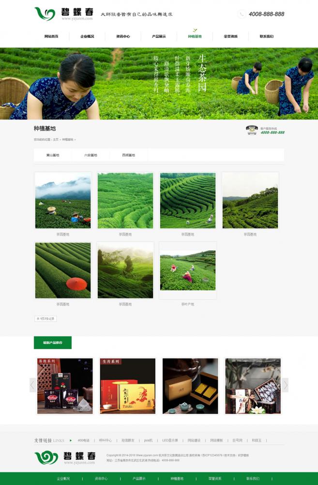 dedecms绿色茶叶网站织梦模板（带手机站）